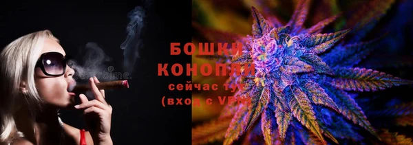 PSILOCYBIN Горнозаводск